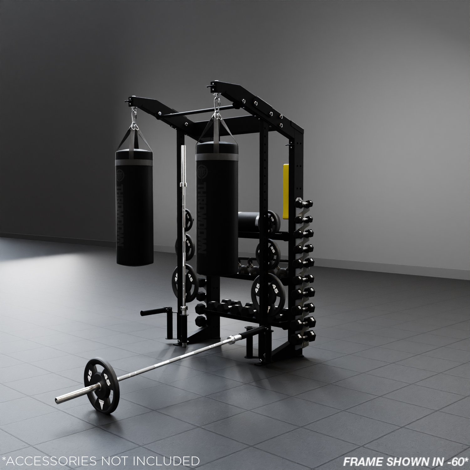 Alpha XTC Functional Strength Station